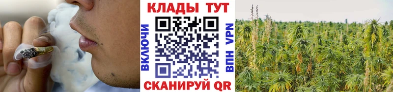 Виды наркоты Сокол Кокаин Alpha-PVP МАРИХУАНА ГАШИШ
