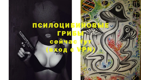 амф Абинск