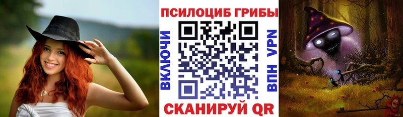 Псилоцибиновые грибы ЛСД  что такое   МЕГА   Сокол 