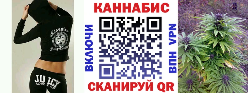 Каннабис план  Сокол 